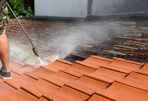 Best Pressure Washing Services Near Me  in Ragland, AL