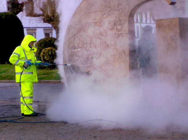 Best Roof Pressure Washing  in Ragland, AL