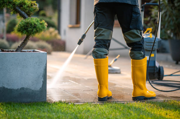 Best Power Washing Near Me  in Ragland, AL